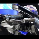 GBRacing Brake Lever Guard Yamaha R1 06-26 / R6 06-26 ( für orig. Lenkstummel )