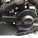 GBRacing Motordeckelschoner SET BMW S1000XR 20-24