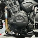 GBRacing Motordeckelschoner SET Triumph Speed Triple 1200 RR/RS 2021-