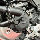 GBRacing Motordeckelschoner SET Ducati Desert X 22-25 ; Monster 950 21-25 ; Multistrada V2 21-24
