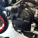 GBRacing Motordeckelschoner SET Ducati Desert X 22-25 ; Monster 950 21-25 ; Multistrada V2 21-24