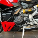 GBRacing Motordeckelschoner SET Ducati Streetfighter V2 2022-2024