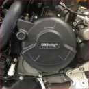 GBRacing Limadeckelschoner Ducati 899  14-15 / 959 16-19...