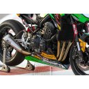 GBRacing Motordeckelschoner Set Kawasaki Z900 17-2025
